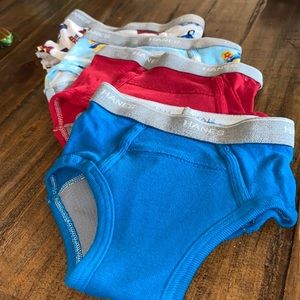 Hanes Potty Training Briefs